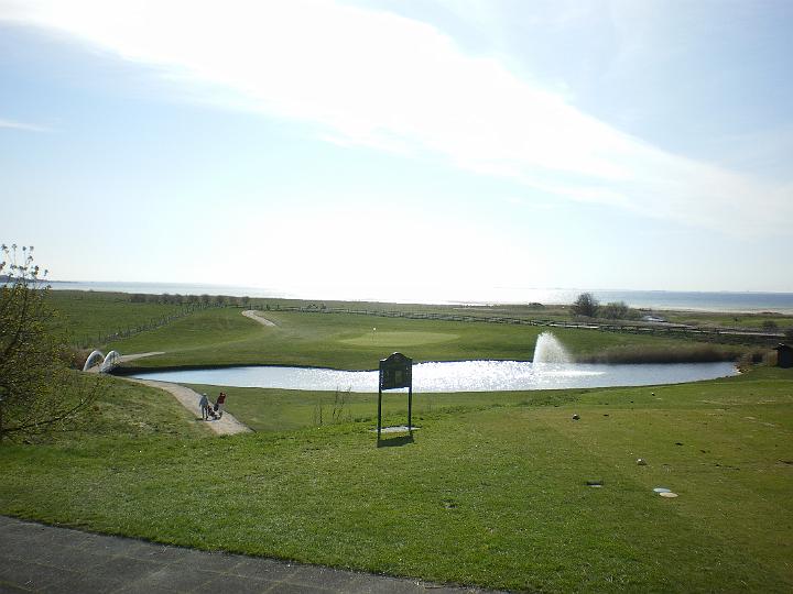 IMGP0552.JPG