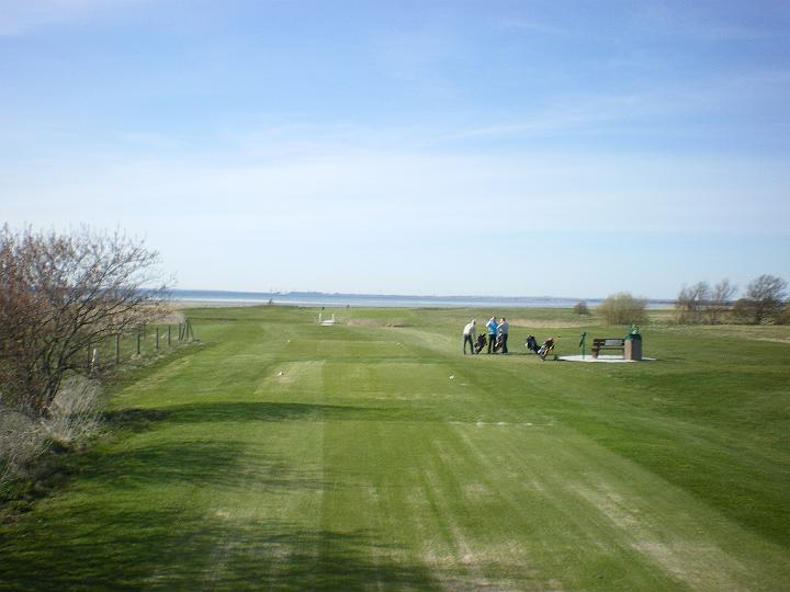 IMGP0554.JPG